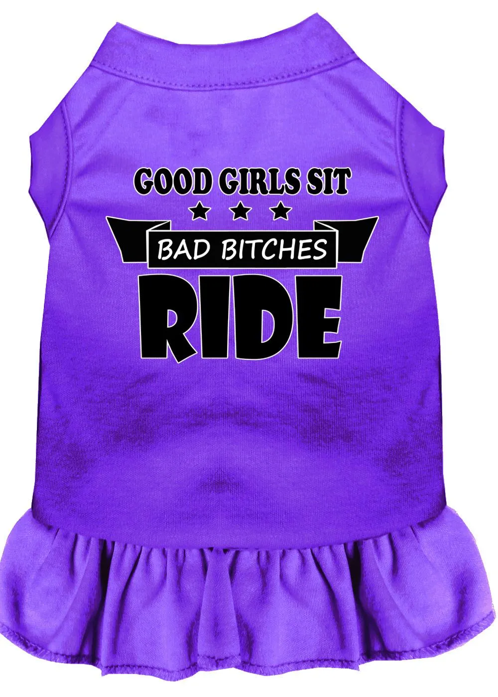 Bitches Ride Screen Print Dog Dress Purple 4x (22)